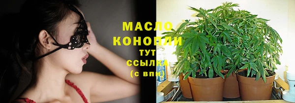 шишки Беломорск