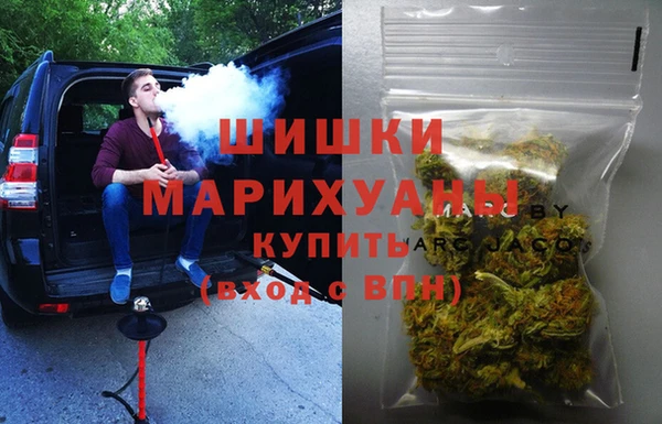 шишки Беломорск