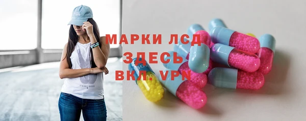 шишки Беломорск