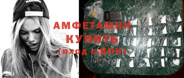 шишки Беломорск