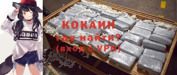 шишки Беломорск