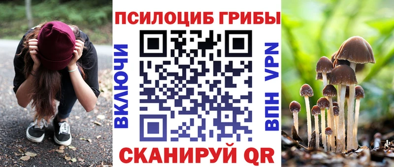 Галлюциногенные грибы Psilocybine cubensis Козельск